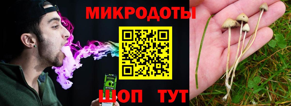 Новокуйбышевск  Галлюциногенные грибы мухоморы  Галлюциногенные грибы GOLDEN TEACHER  Вход с VPN 