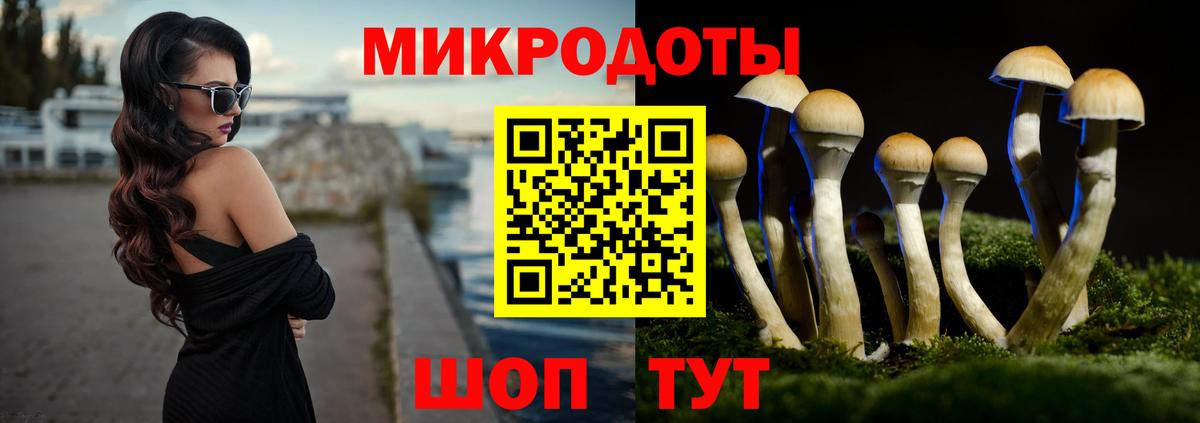 Галлюциногенные грибы Psilocybine cubensis Новокуйбышевск
